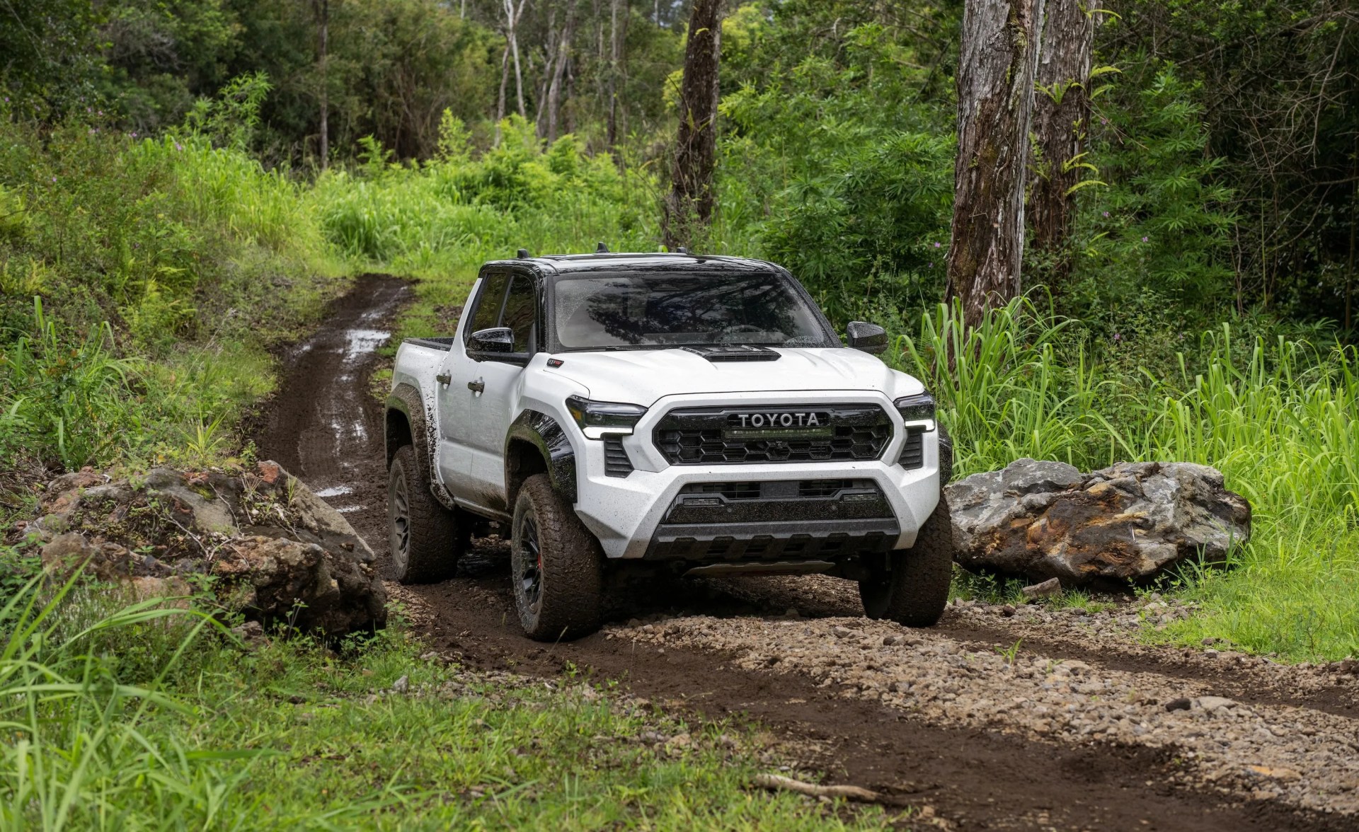 a white truck driving on a dirt road in the woods