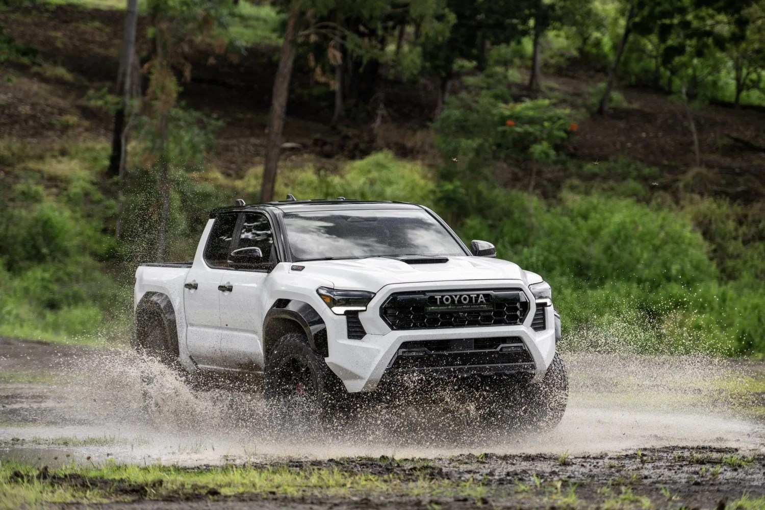 white toyota tacoma pickup drives through water