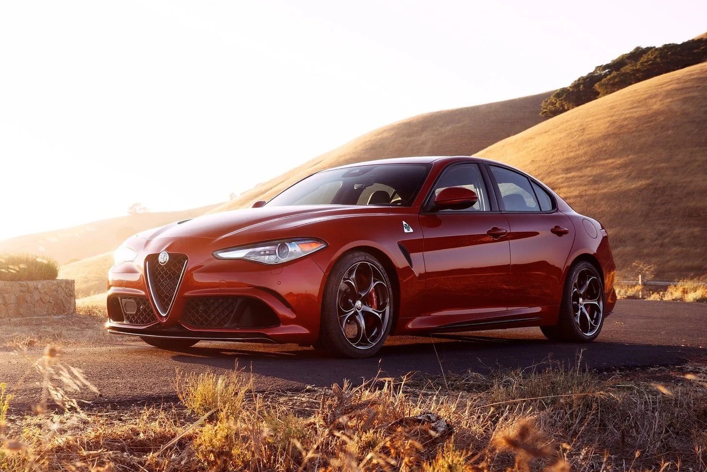 alfa romeo giulia quadrifoglio