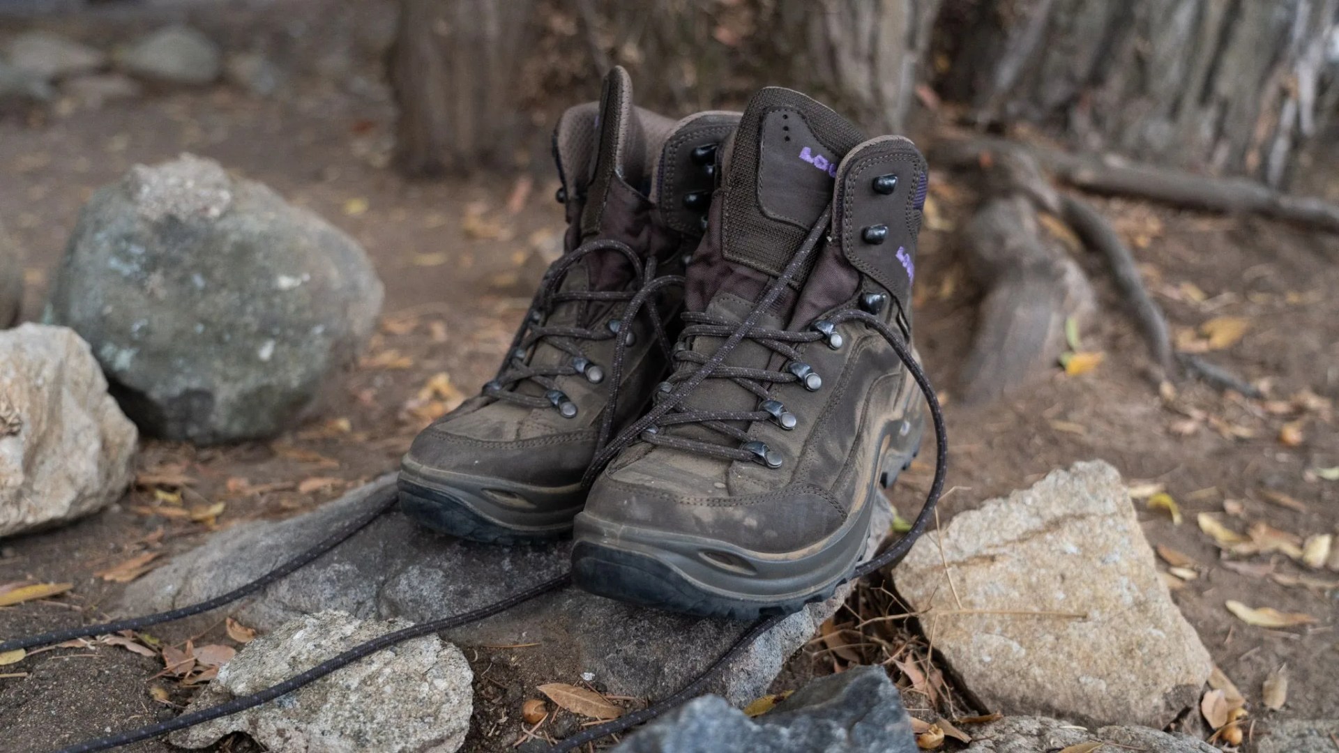 low renegade hiking boots