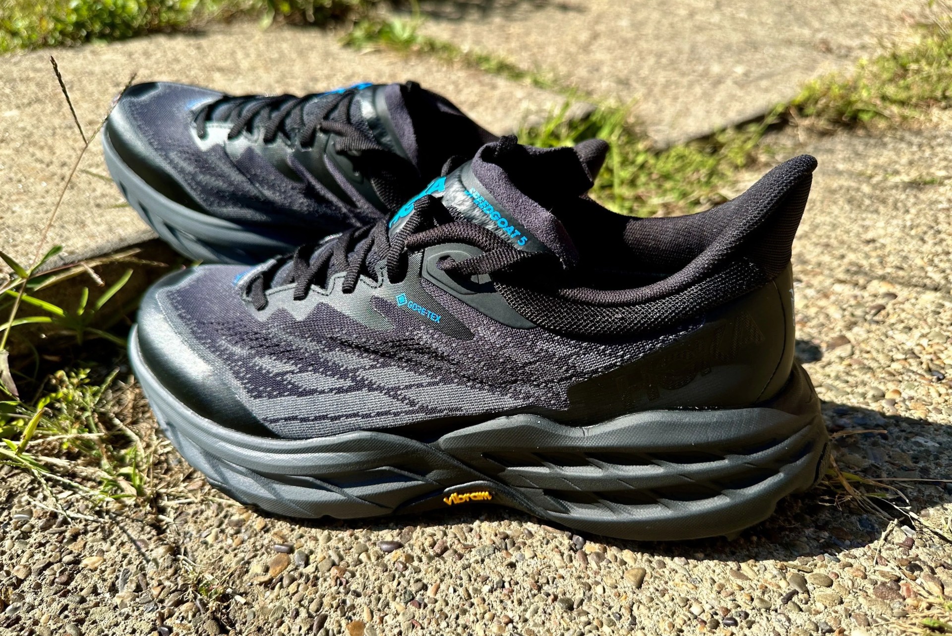 hoka speedgoat 5 gtx